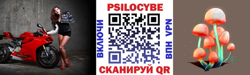 закладка  Сальск  Псилоцибиновые грибы Cubensis 