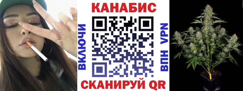 Бошки марихуана планчик  Сальск 